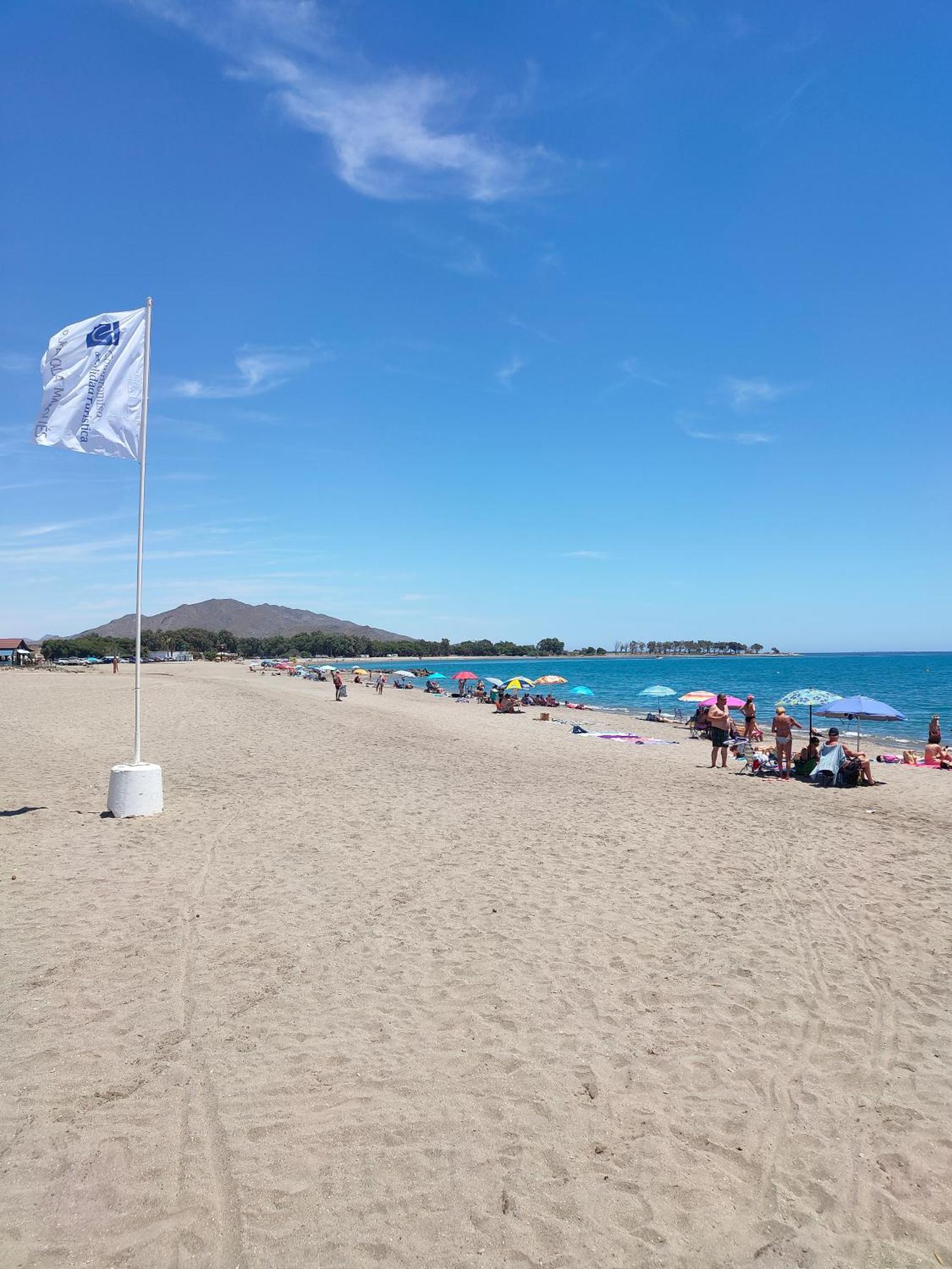 Eda Paradise Playa